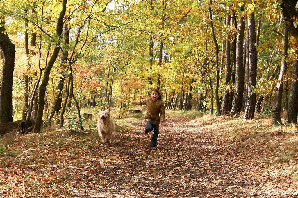 為什么秋季裝修異味這么重?甲醛超標(biāo)怎么辦 為什么秋季裝修異味這么重?甲醛超標(biāo)怎么辦