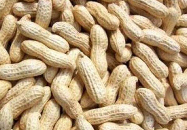 水煮花生含甲醛？實(shí)測(cè)多家燒烤店結(jié)果太可怕！