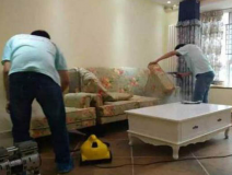 除甲醛公司需要具備哪些實力?