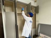 怎樣去除家里的甲醛?