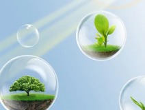 這些甲醛的危害你知道嗎?