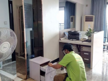 裝修后除甲醛依靠綠植可以嗎？