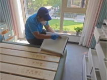 如何有效地除甲醛?