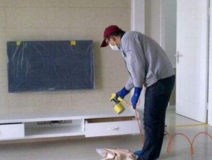 裝修后除甲醛的方法有哪些呢?