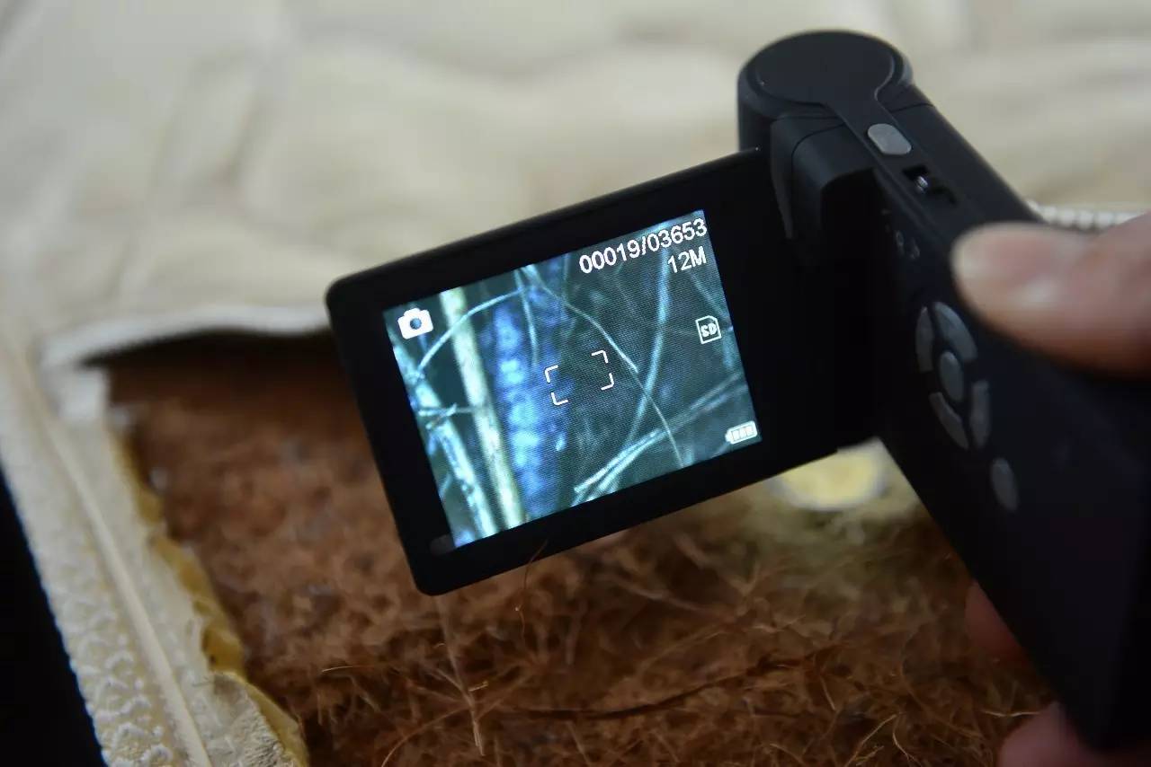 南京美女睡了10年的床墊，掀開后把全家人都嚇傻了……